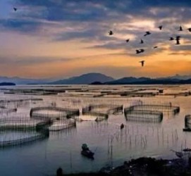 泸州伴游中国网景点丰富(旅游网介绍)