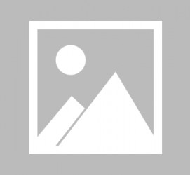 泸州成都会小我伴游雇用信息(成都会小我伴游雇用信息最新)