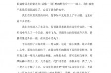泸州旅游感想(张家界旅游感想)