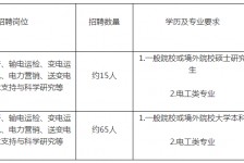 泸州重庆有雇用伴游外围吗(高端外围伴游雇用一单一结)