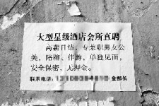 泸州珠海伴游雇用网(珠海游览社雇用信息)