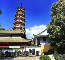 泸州广州自由行(广州 自由行)
