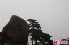 泸州上海伴游私家陪游雇用女模(上海伴游私家陪游雇用女模特)