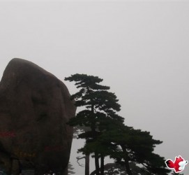 泸州上海伴游私家陪游雇用女模(上海伴游私家陪游雇用女模特)
