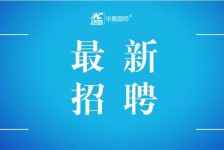 泸州镇江伴游雇用驾驶员(镇江驾驶员雇用苍生网)