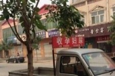泸州上海伴游 用伴游造句大全(5