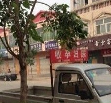 泸州上海伴游 用伴游造句大全(5