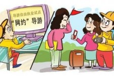 泸州伴游是什么