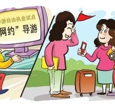 泸州伴游是什么