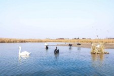 泸州南昌附近伴游小妹兼职(1534939978姐的微信德惠市)