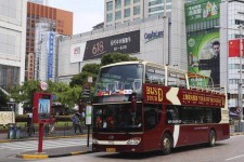 泸州上海私人伴游 上海过年怎么玩？这些“微游”线路了解下→