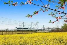 泸州高铁游(高铁游戏下载手机版)
