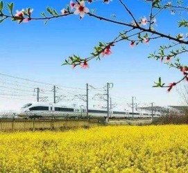 泸州高铁游(高铁游戏下载手机版)