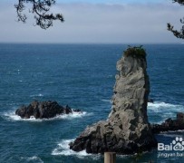 泸州旅游全攻略(上海旅游全攻略)