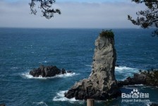 泸州旅游全攻略(上海旅游全攻略)