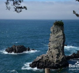 泸州旅游全攻略(上海旅游全攻略)