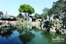 泸州苏州旅游攻略(苏州旅游攻略自由行攻略)