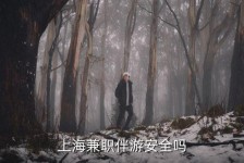 泸州上海私人伴游 上海伴游，上海兼职伴游安全吗