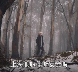 泸州上海私人伴游 上海伴游，上海兼职伴游安全吗
