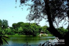 泸州西湖旅游攻略(上海到杭州西湖旅游攻略)