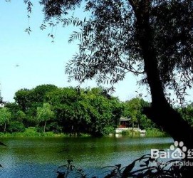 泸州西湖旅游攻略(上海到杭州西湖旅游攻略)
