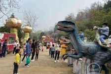 泸州中国伴游带你打卡网红南山竹海(南山竹海网上预约)
