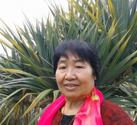 泸州白叟带老伴游半个中国(白叟外出旅游)