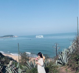 泸州厦门周边游(厦门及周边旅游攻略)