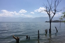 泸州洱海旅游攻略(洱海旅游攻略自由行)