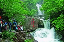 泸州安吉旅游攻略(湖州安吉旅游攻略)