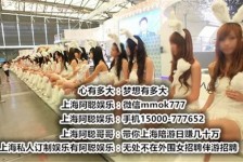 泸州雇用旅游男伴游(北京商务酒店雇用伴游)
