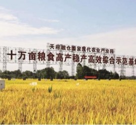 泸州关于成都商务伴游外围雇用的信息