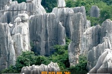 泸州贵阳市游览社英语伴游雇用(贵阳市前十名游览社是哪几家)