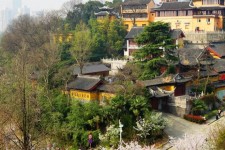 泸州南京周边游(南京周边游景点大全 自驾车旅游)
