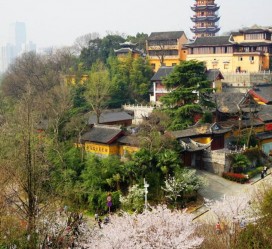 泸州南京周边游(南京周边游景点大全 自驾车旅游)