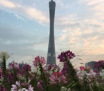 泸州广州旅游攻略(杭州到广州旅游攻略)