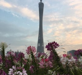 泸州广州旅游攻略(杭州到广州旅游攻略)