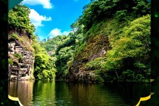 泸州旅游报价(旅行团旅游报价)