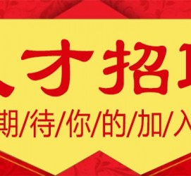 泸州上海伴游招聘 招聘 | 浦东机场专柜销售