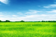 泸州上海伴游 上海模特伴游微信号的交友宣言
