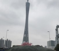 泸州广州游玩攻略(广州游玩攻略景点大全免费)