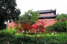 泸州南京旅游攻略(南京旅游攻略自由行攻略)