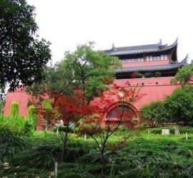 泸州南京旅游攻略(南京旅游攻略自由行攻略)