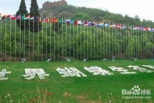 泸州昆明旅游攻略(昆明旅游攻略景点大全抚仙湖)