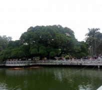 泸州福州旅游攻略(福州旅游攻略二日游)