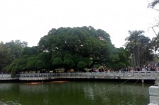 泸州福州旅游攻略(福州旅游攻略二日游)