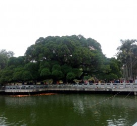 泸州福州旅游攻略(福州旅游攻略二日游)