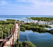泸州旅游哪里好玩(云南旅游哪里好玩)
