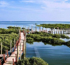 泸州旅游哪里好玩(云南旅游哪里好玩)
