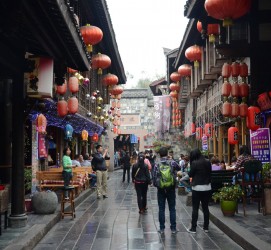 泸州成都自助游(成都自助游住哪里方便)